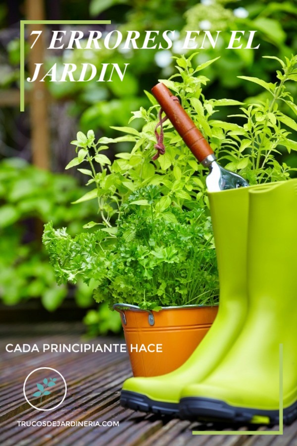 7 Errores de Jardinería que Cada Principiante Comete