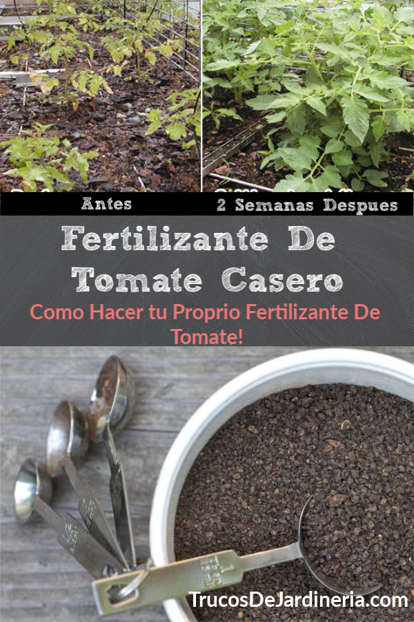 Cómo Hacer Fertilizante de Tomate