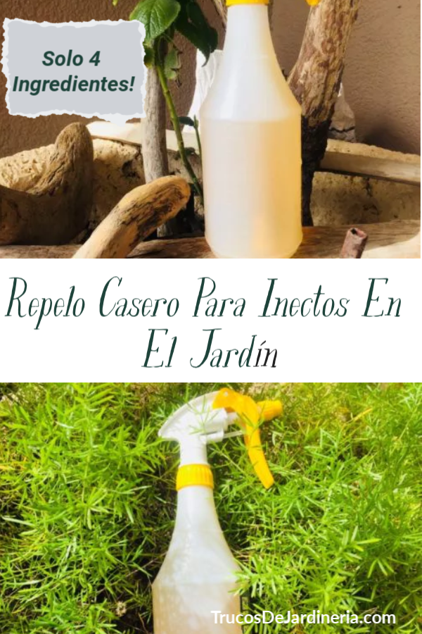 Insecticida DIY de Jardín