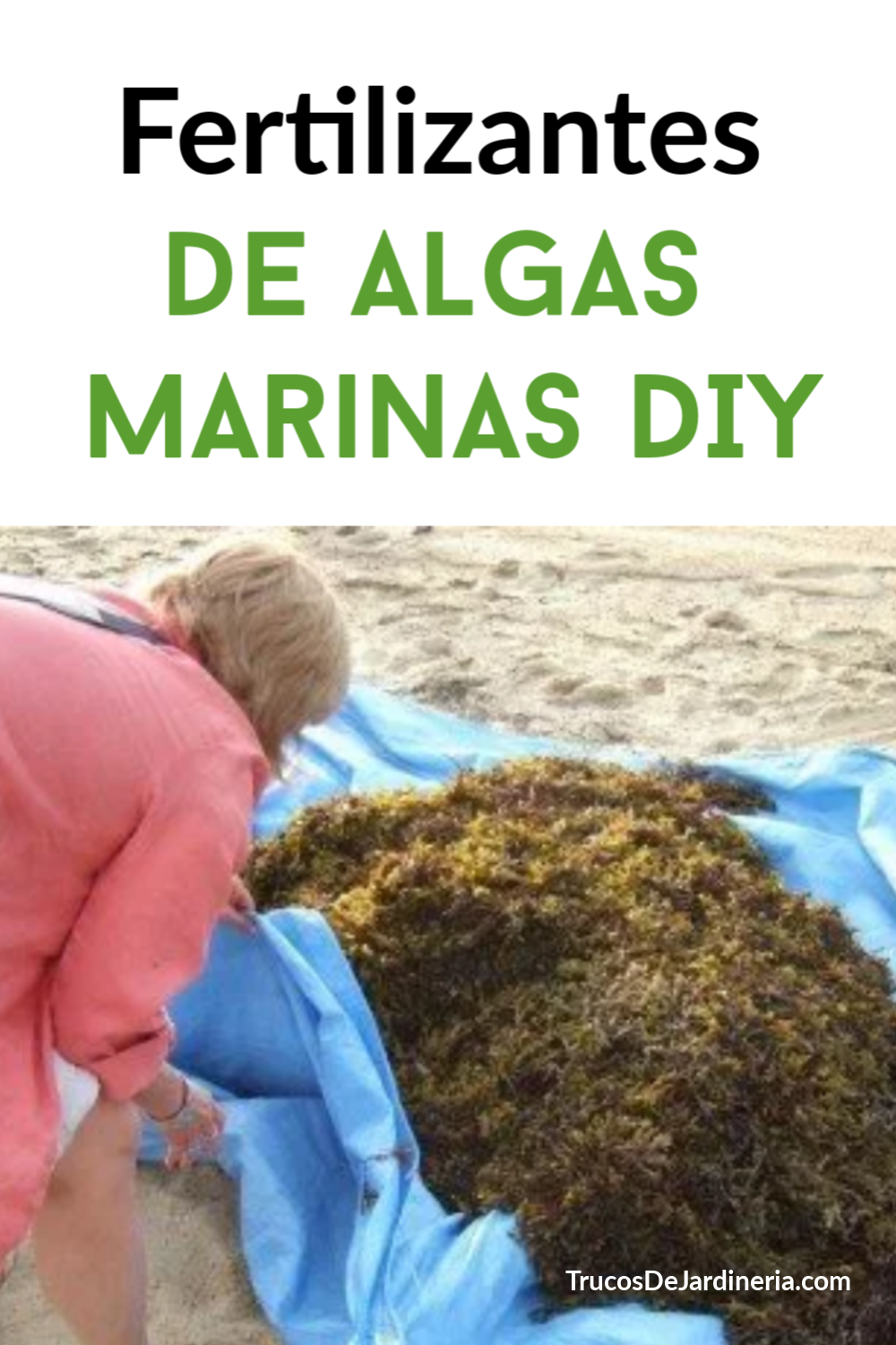 Fertilizante de Algas Marinas DIY