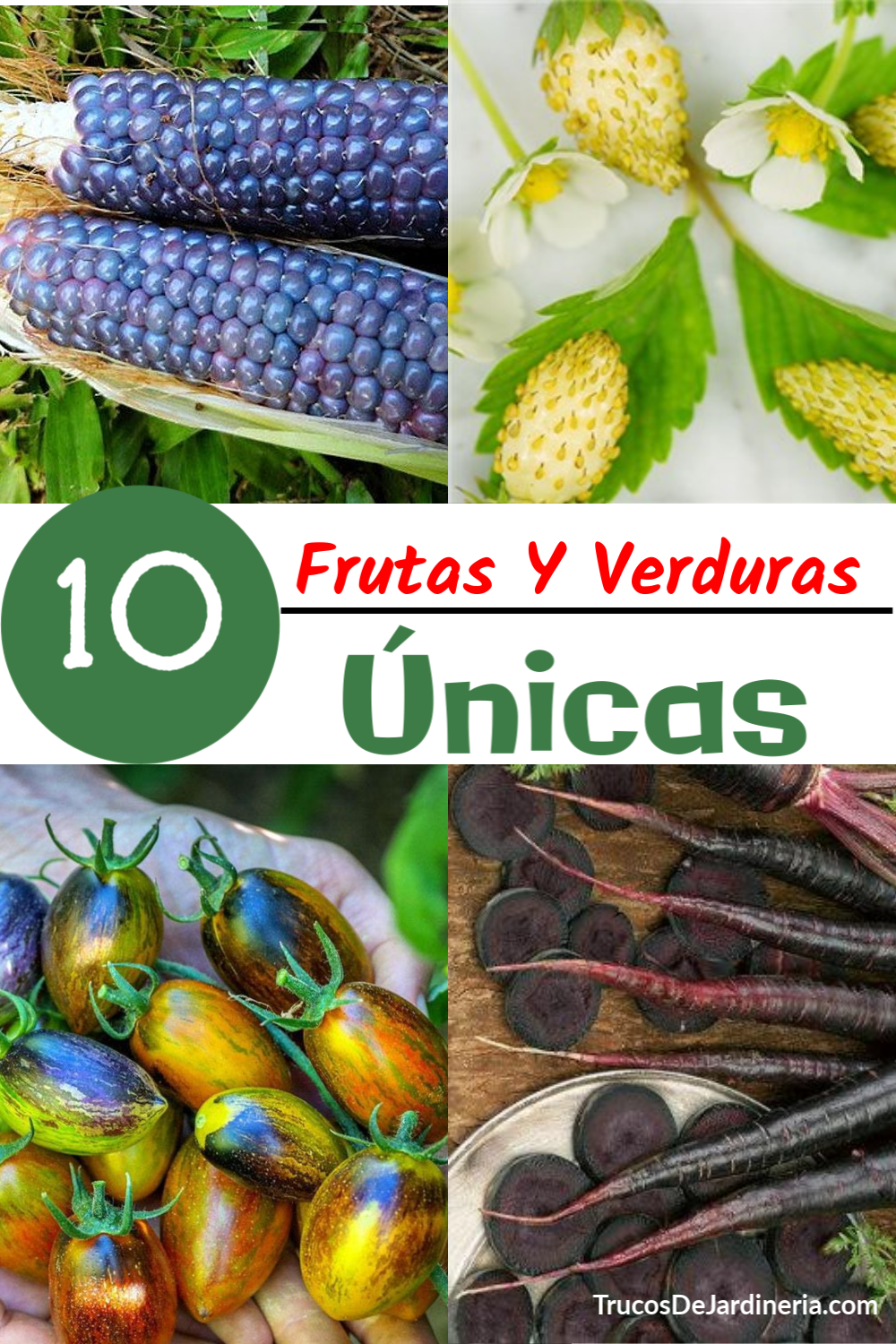 10 Frutas y Vegetales Únicos que Puedes Cultivar