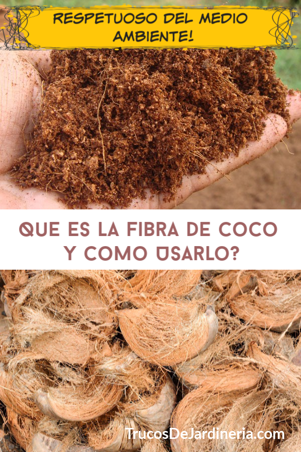 Qué es la Fibra de Coco