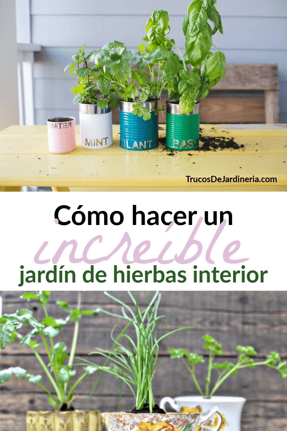 Cómo Hacer un Jardín de Hierbas en Interiores